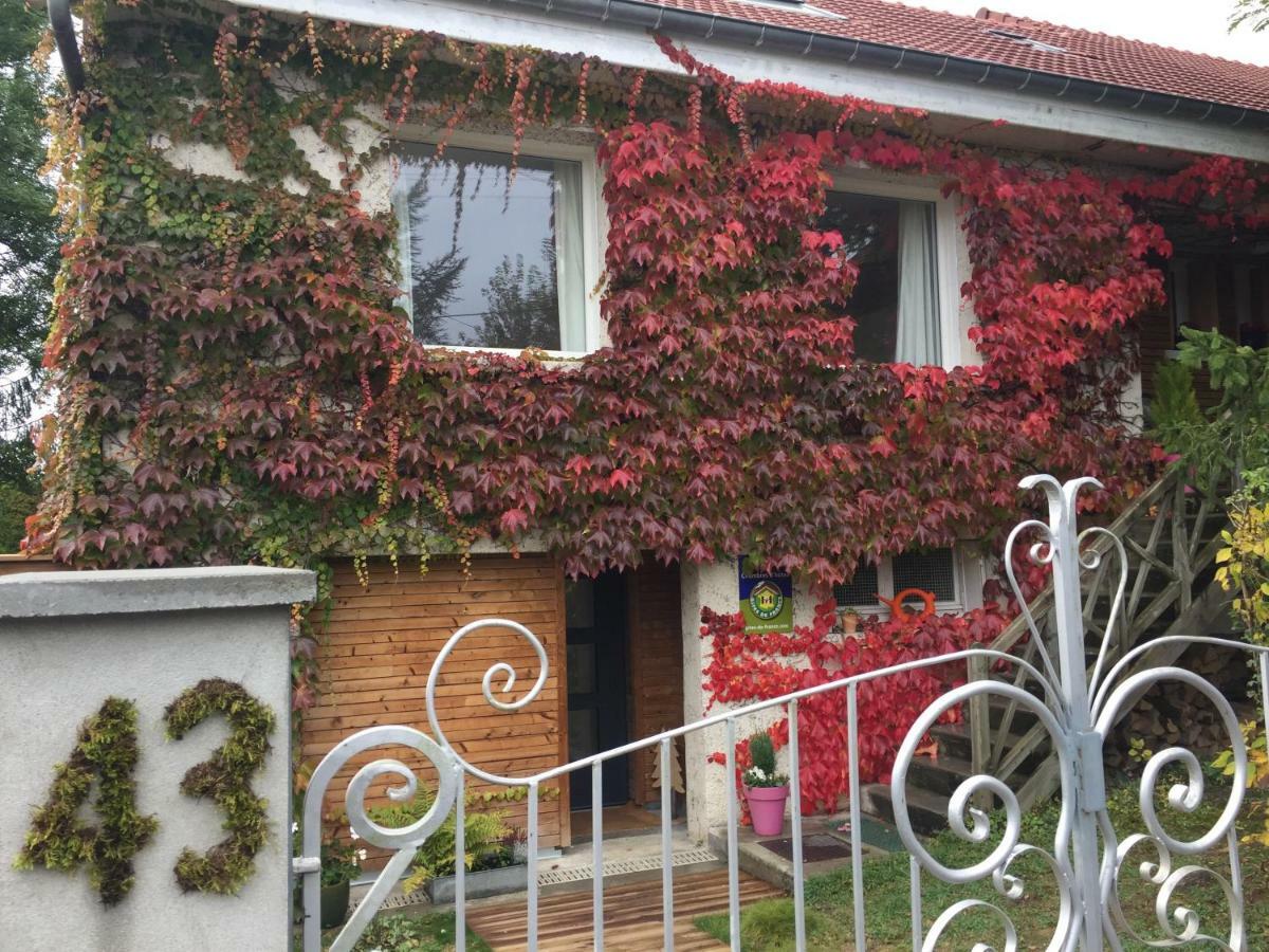 Villa La Sapinière de Vittel Extérieur photo